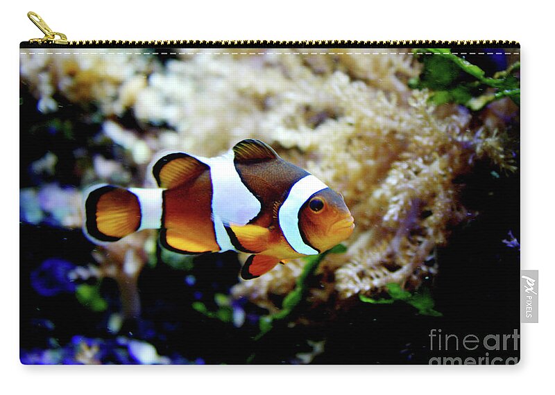 Fish Zip Pouch featuring the photograph Fish stripes Clownfish by Toni Hopper