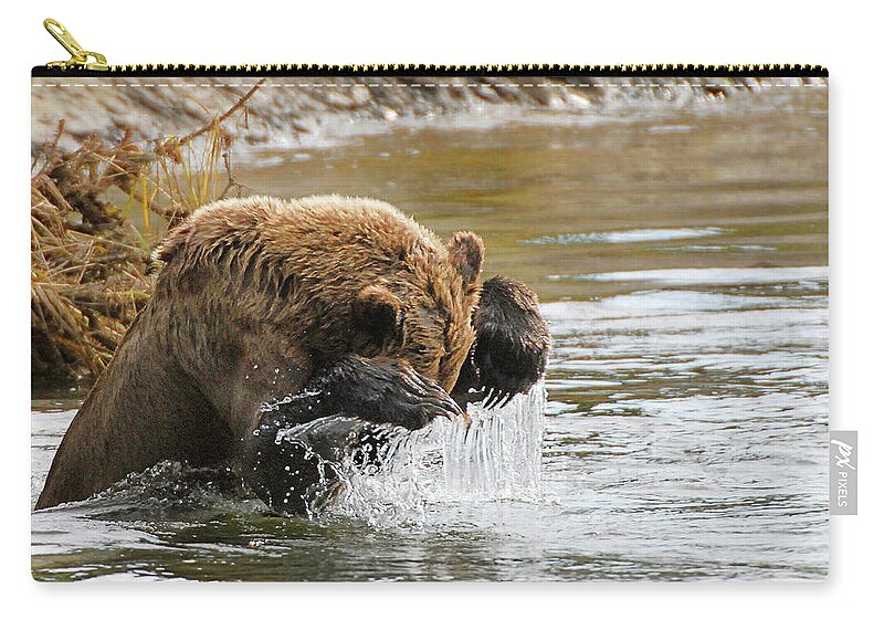 Fishing Zip Pouch featuring the photograph Fishing Grizzly Bear by Ted Keller