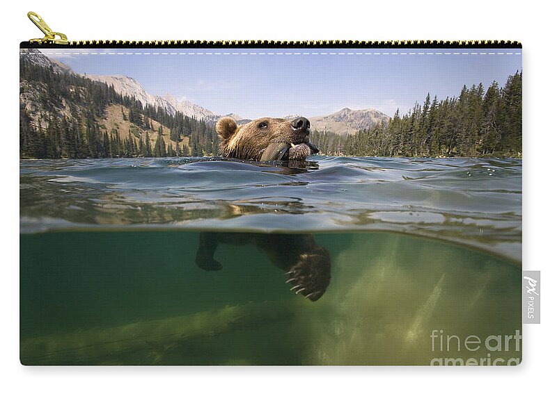 Brown Bear Zip Pouch featuring the photograph Fishing Grizzly by Jean-Louis Klein & Marie-Luce Hubert