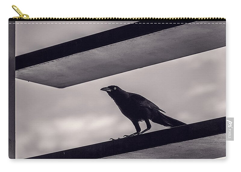 Bird Zip Pouch featuring the photograph Fixation by Laura Roberts