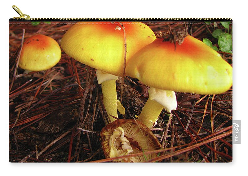 Mushroom Zip Pouch featuring the photograph Flame Pluteus Mushroom by Donna Brown