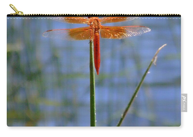 Dragonfly Zip Pouch featuring the photograph Flame Skimmer Dragonfly by Donna Blackhall