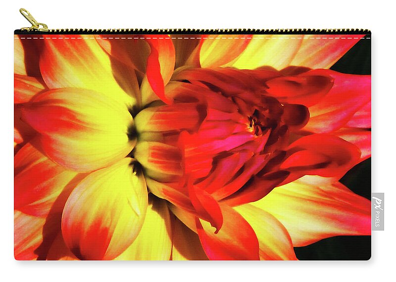 Red Dahlia Zip Pouch featuring the photograph Flaming Blossom by Tony Grider
