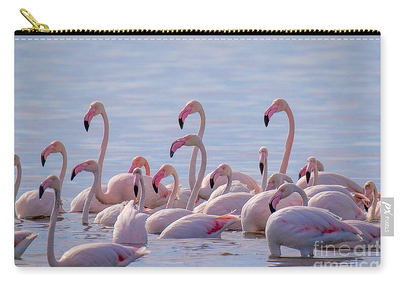 Animalia Zip Pouch featuring the photograph Flamingo Family in Kalochori Lagoon Greece by Jivko Nakev