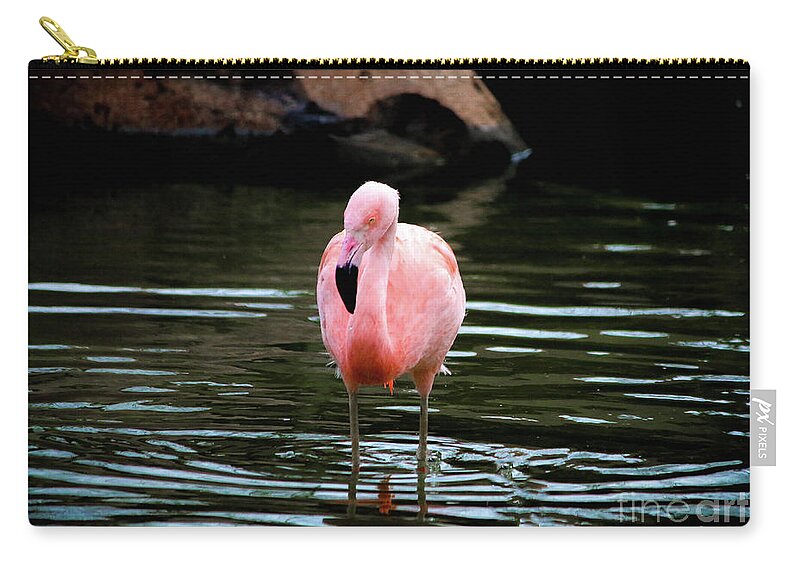 Flamingo Zip Pouch featuring the photograph Flamingo in Water by Veronica Batterson