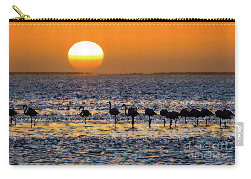 Africa Zip Pouch featuring the photograph Flamingo Sunset by Inge Johnsson
