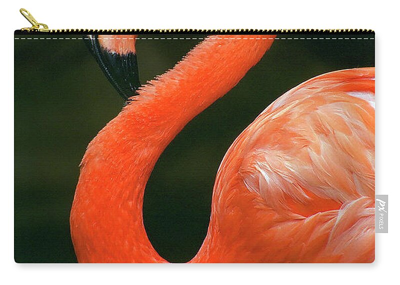 Flamingo Carry-all Pouch featuring the photograph Flamingo by Ted Keller
