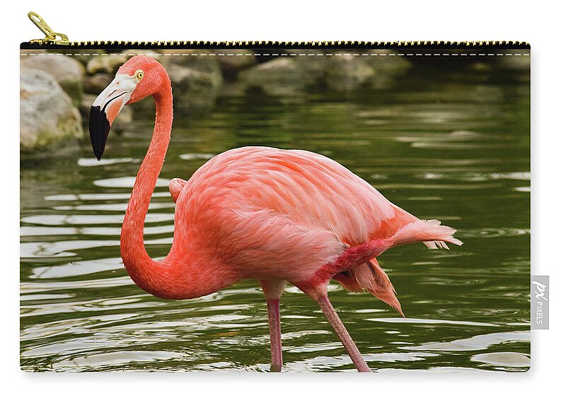 Flamingo Carry-all Pouch featuring the photograph Flamingo Wades by Nicole Lloyd