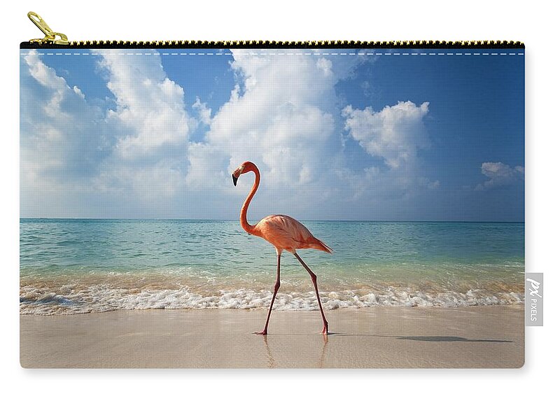 Photography Zip Pouch featuring the photograph Flamingo Walking Along Beach by Ian Cumming