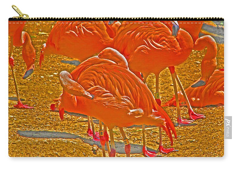 Flamingos Zip Pouch featuring the photograph Flamingos 1 by David Frederick