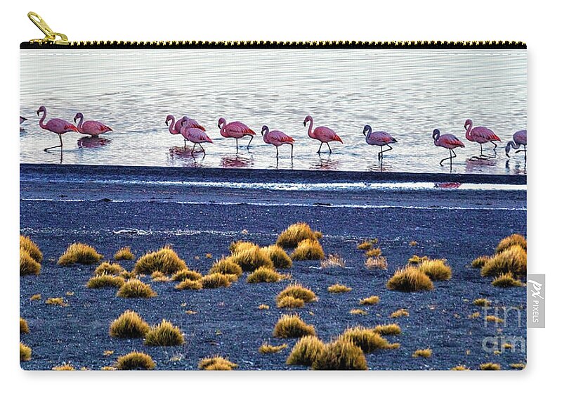 Flamingos Zip Pouch featuring the photograph Flamingos at Torres Del Paine by Bernardo Galmarini