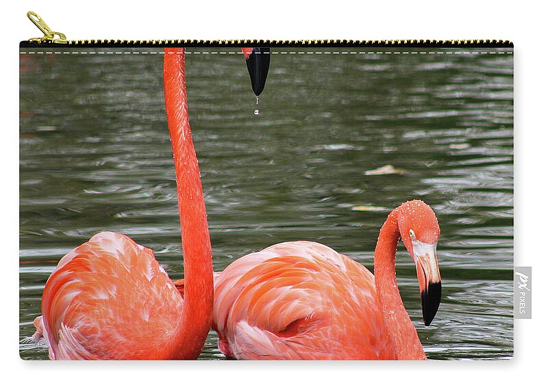 Flamingos Carry-all Pouch featuring the photograph Flamingos by Holly Ross