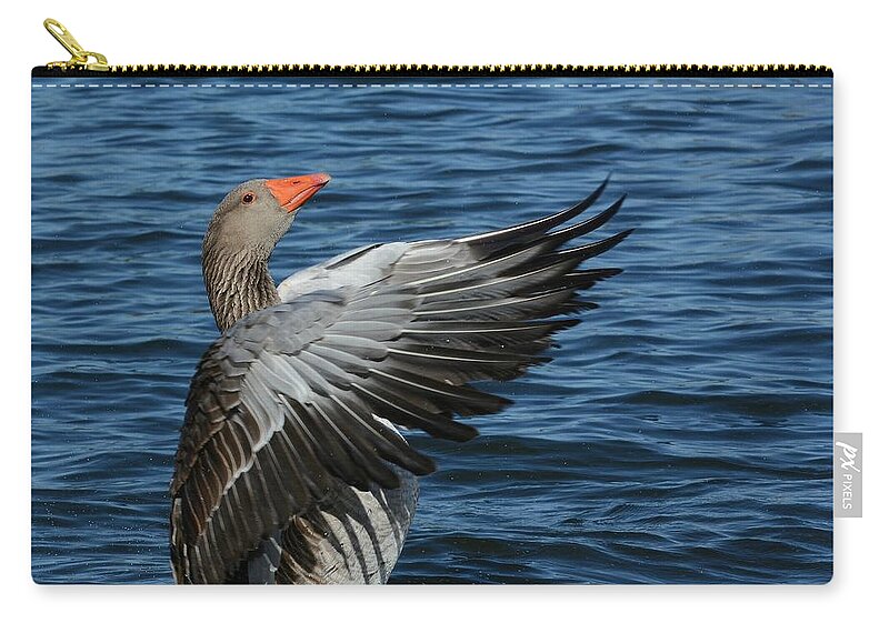 Greylag Goose Zip Pouch featuring the photograph Flapper by Fraida Gutovich