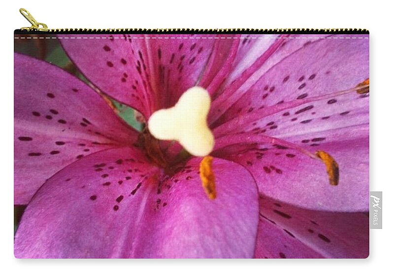 Lily Carry-all Pouch featuring the photograph Flecked by Denise Railey