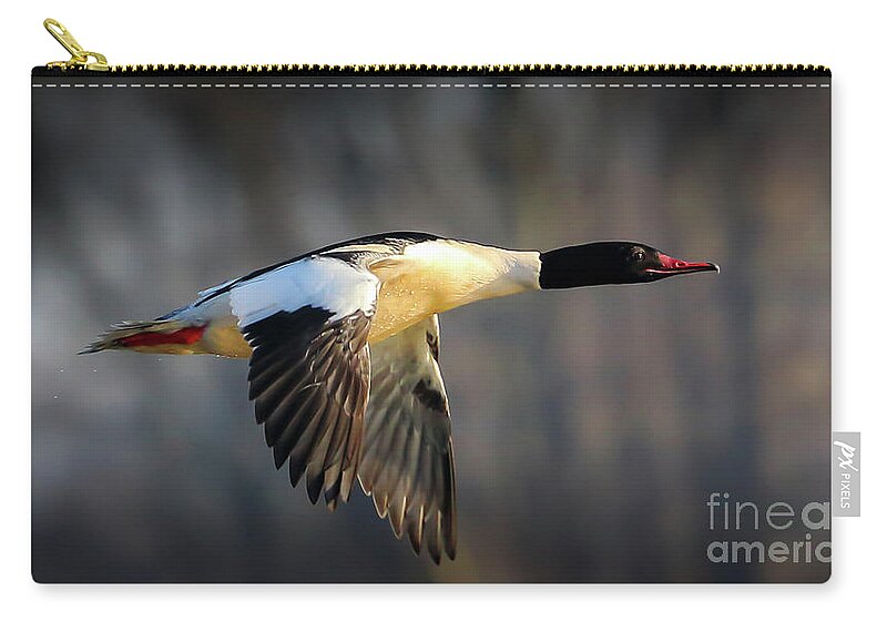 Duck Zip Pouch featuring the photograph Flight by Franziskus Pfleghart