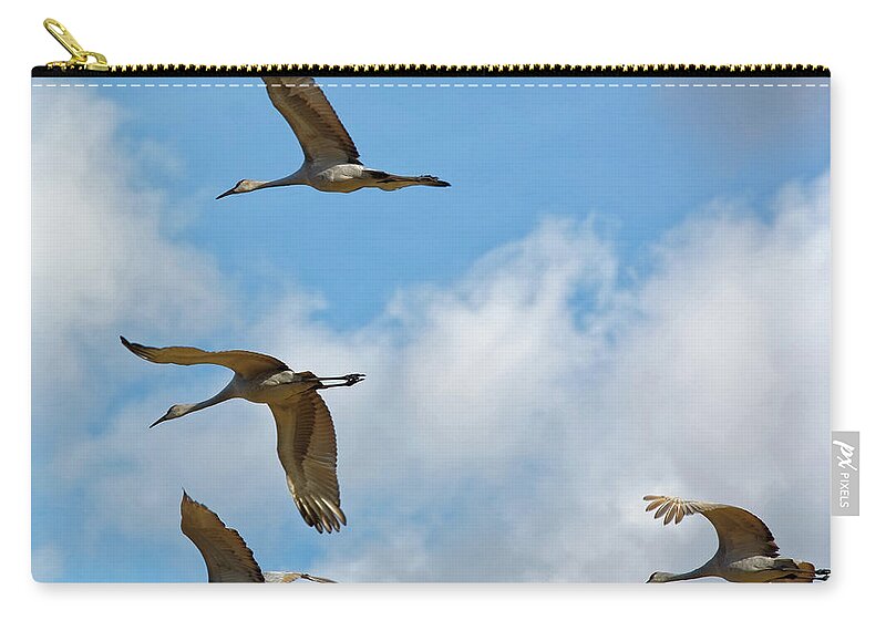 Cranes Zip Pouch featuring the photograph Flight of the Cranes by Peter Ponzio