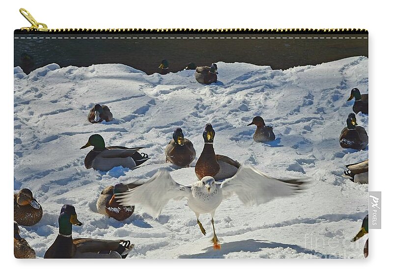 Ducks Carry-all Pouch featuring the photograph Flight or Fancy by Dani McEvoy