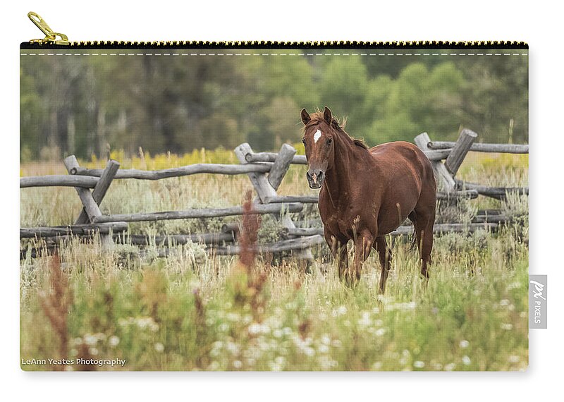 Grand Teton National Park Zip Pouch featuring the photograph Flirty Sorrell by Yeates Photography
