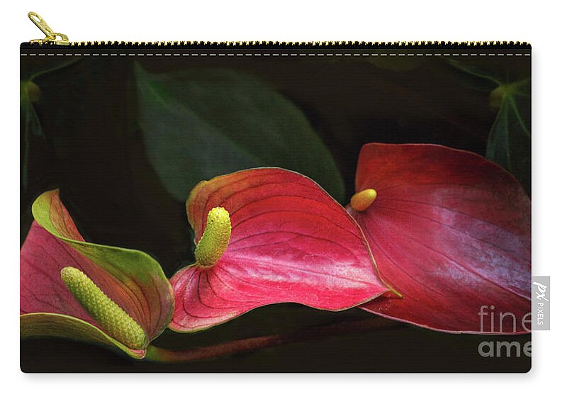 Flamingo Lily Zip Pouch featuring the photograph Floating on Moonlight by Marilyn Cornwell