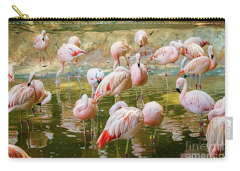 Flamingos Zip Pouch featuring the photograph Flock of Flamingos by Les Greenwood