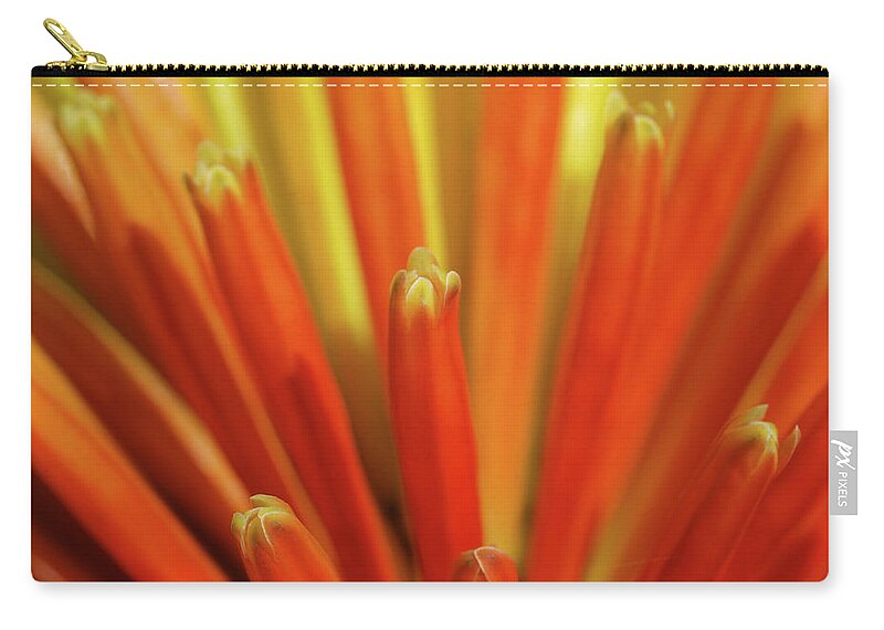 Nature Zip Pouch featuring the photograph Floral Fireworks by Evelyn Tambour