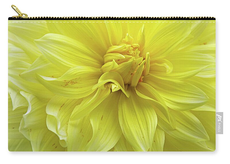 Thuya Garden Zip Pouch featuring the photograph Floral Whipped Cream by Juergen Roth