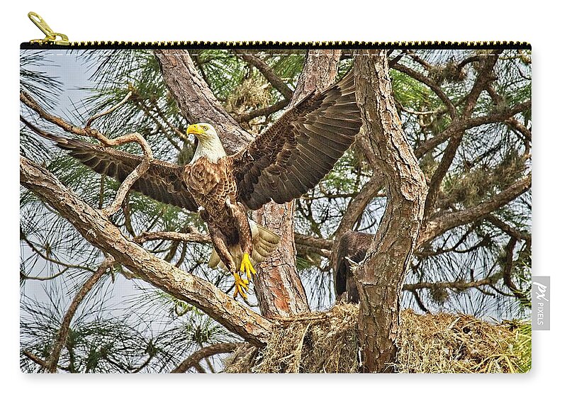 Beautiful Zip Pouch featuring the photograph Florida Bald Eagle by Ronald Lutz