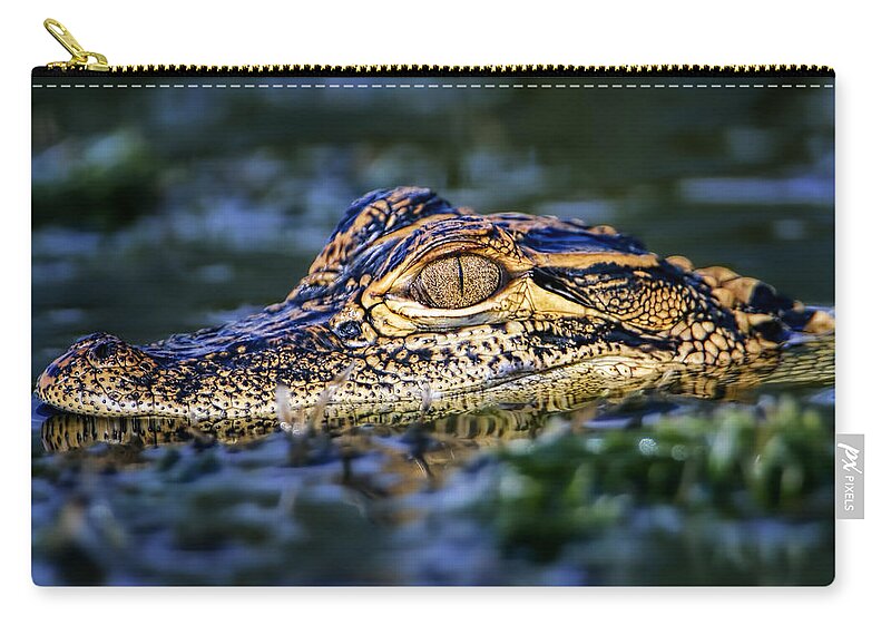 Alligator Zip Pouch featuring the photograph Florida Gator by Bill Dodsworth