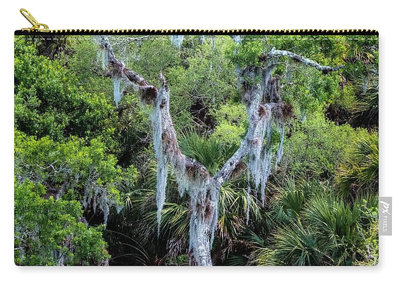 North Port Florida Carry-all Pouch featuring the photograph Florida Spanish Moss by Tom Singleton