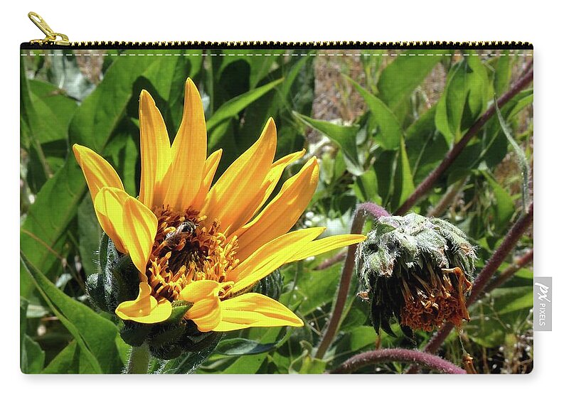 Wildflower Zip Pouch featuring the photograph Flourish by Vincent Green
