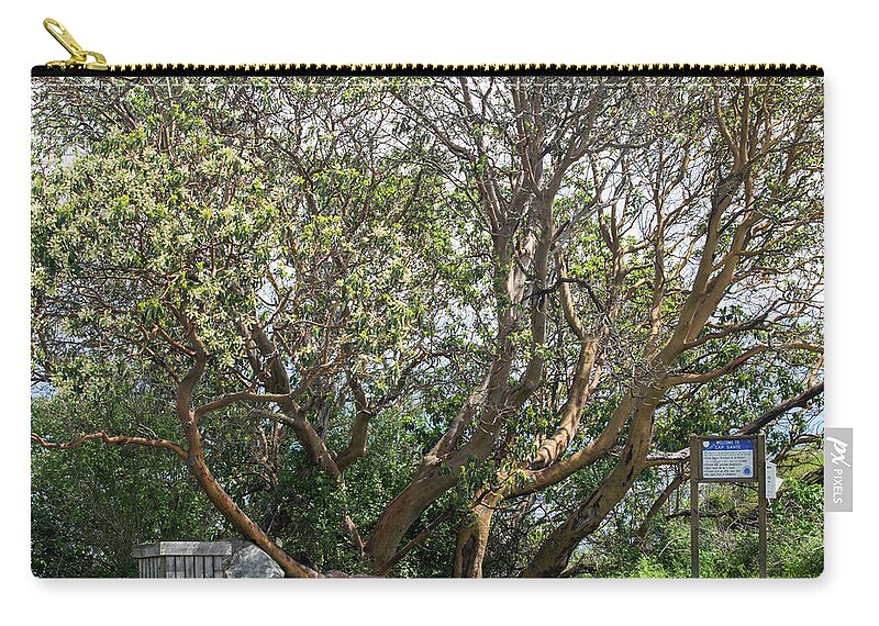 Flourishing Madrona In Anacortes Zip Pouch featuring the photograph Flourishing Madrona in Anacortes by Tom Cochran