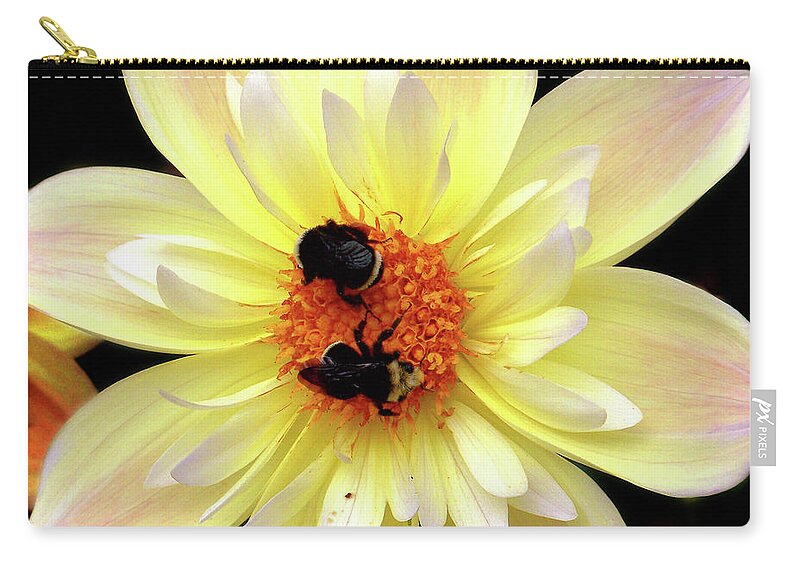 Flowers Zip Pouch featuring the photograph Flower and Bees by Anthony Jones