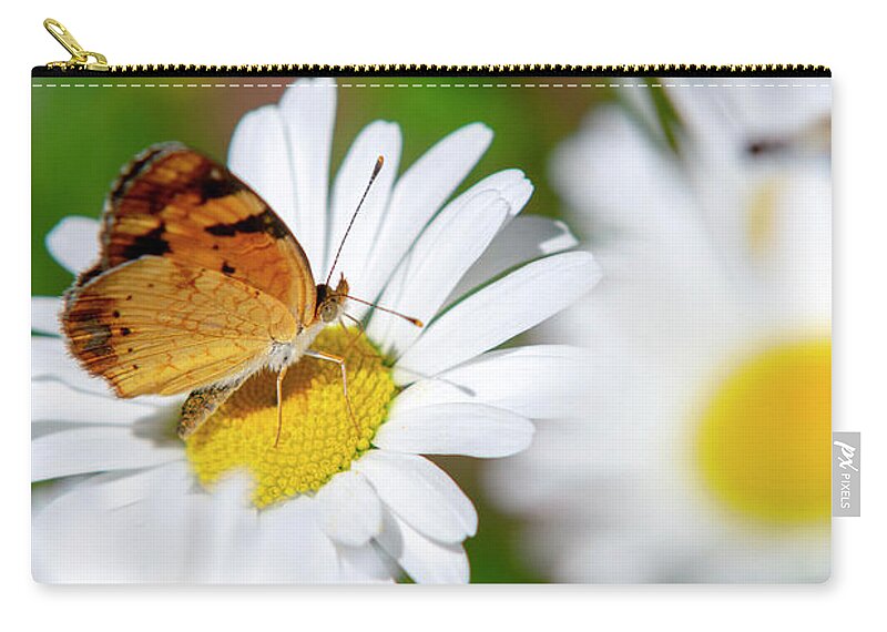 Butterfly Zip Pouch featuring the photograph Flower And Butterfly by Christina Rollo