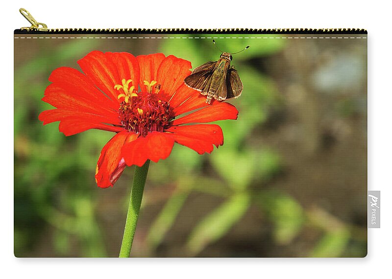 Nature Zip Pouch featuring the photograph Flower and Friend by Arthur Dodd