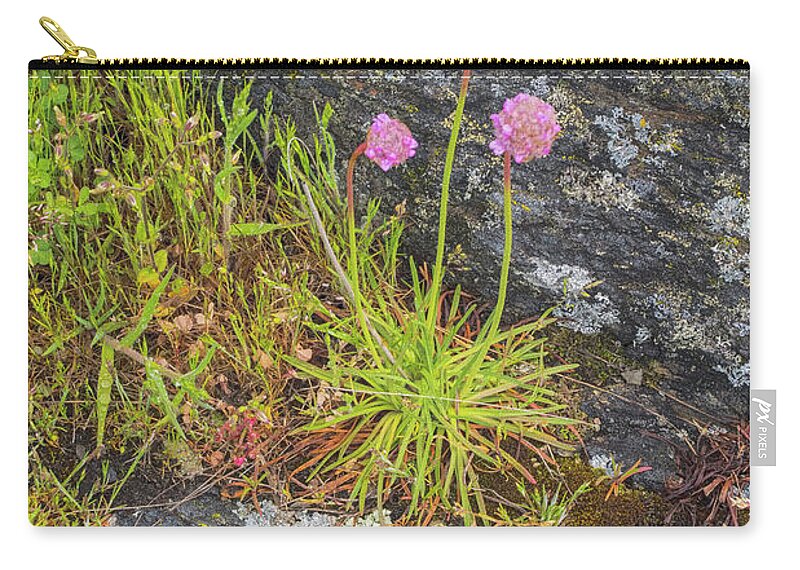 Oregon Coast Carry-all Pouch featuring the photograph Flower And Rock by Tom Singleton