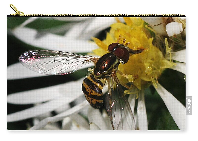 Insect Carry-all Pouch featuring the photograph Flower Fly on Wildflower by William Selander