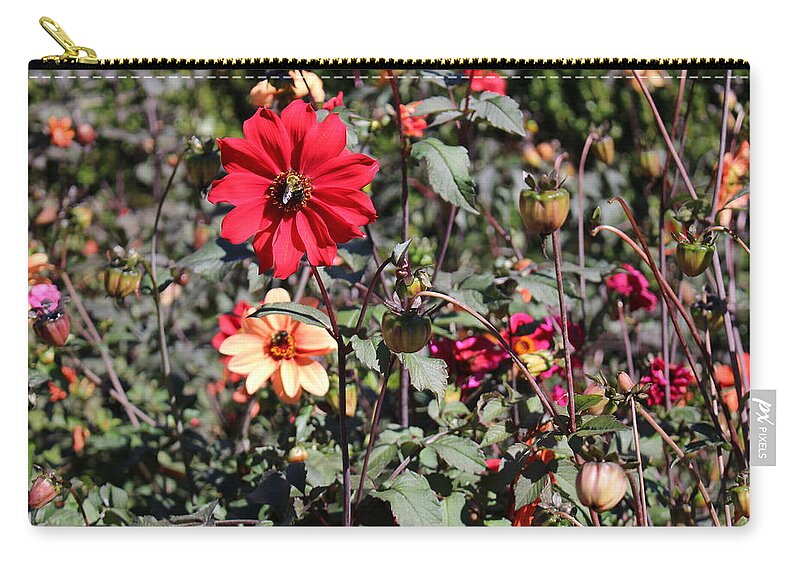 Leaf Zip Pouch featuring the photograph Flower Garden by Jason Nicholas