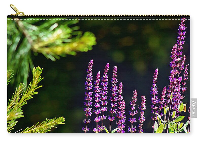 Perennial Meadow Sage Caradonna Flower Print Zip Pouch featuring the photograph Flower Meadow Sage Print by Gwen Gibson