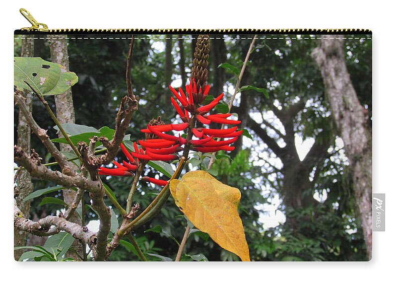 Orchid Zip Pouch featuring the photograph Flower of The Nature by Cesar Vieira