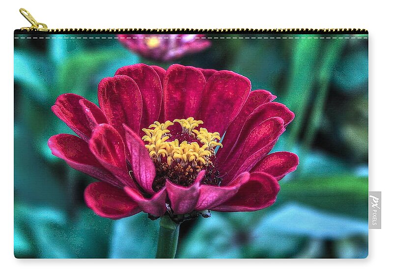 Flower Zip Pouch featuring the photograph Flower34 by Albert Fadel