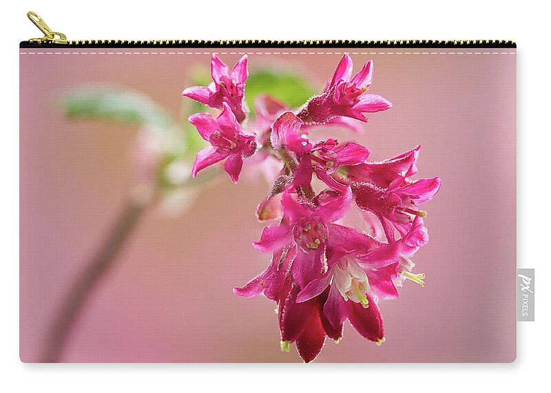 Plant Zip Pouch featuring the photograph Flowering Currant by Shirley Mitchell