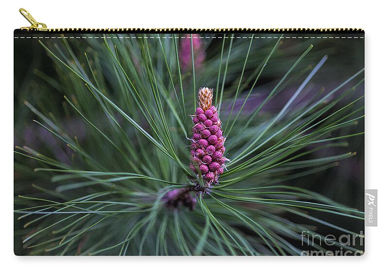 Tree Zip Pouch featuring the photograph Flowering pine cone by Les Palenik