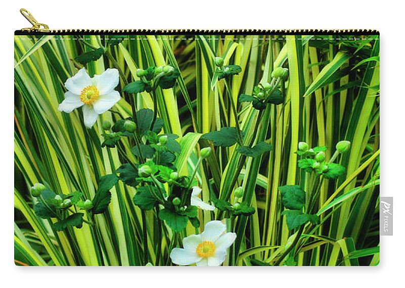 Five Zip Pouch featuring the photograph Flowers and Grass by Cate Franklyn