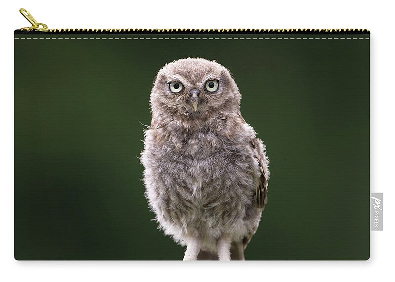 Little Owl Carry-all Pouch featuring the photograph Fluffy McFluff-Face by Pete Walkden