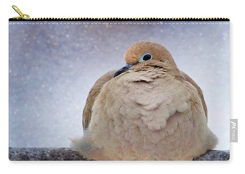 America Zip Pouch featuring the photograph Fluffy Mourning Dove by Al Mueller