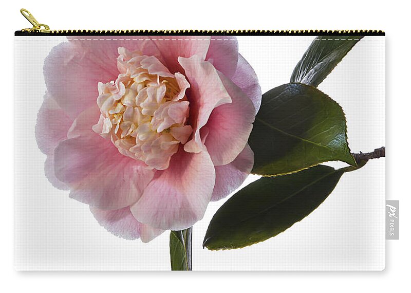 Flower Zip Pouch featuring the photograph Fluffy Pink Camellia by Endre Balogh
