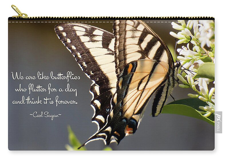 Butterfly Zip Pouch featuring the photograph Flutter Forever by Leslie Montgomery