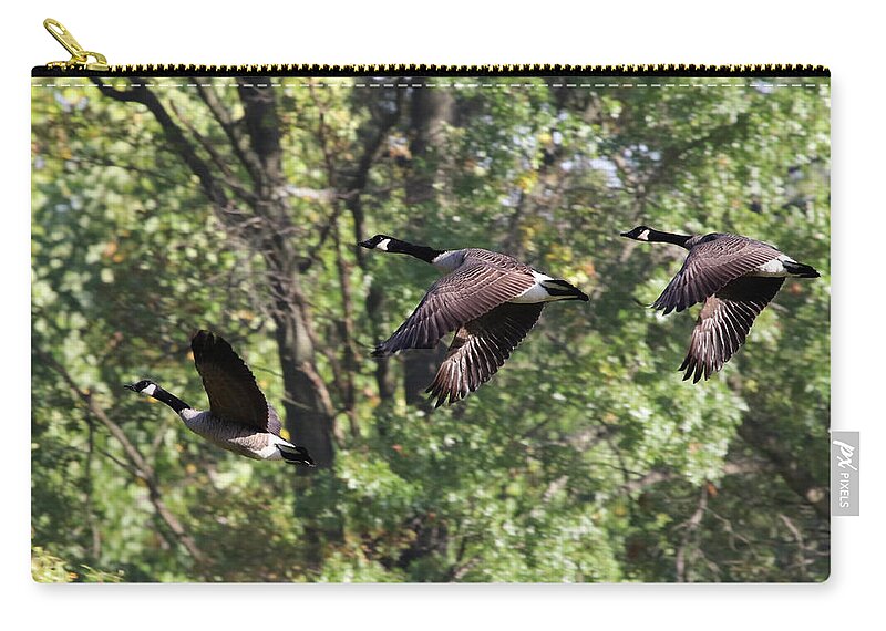 Geese Zip Pouch featuring the photograph Fly Away by Jackson Pearson