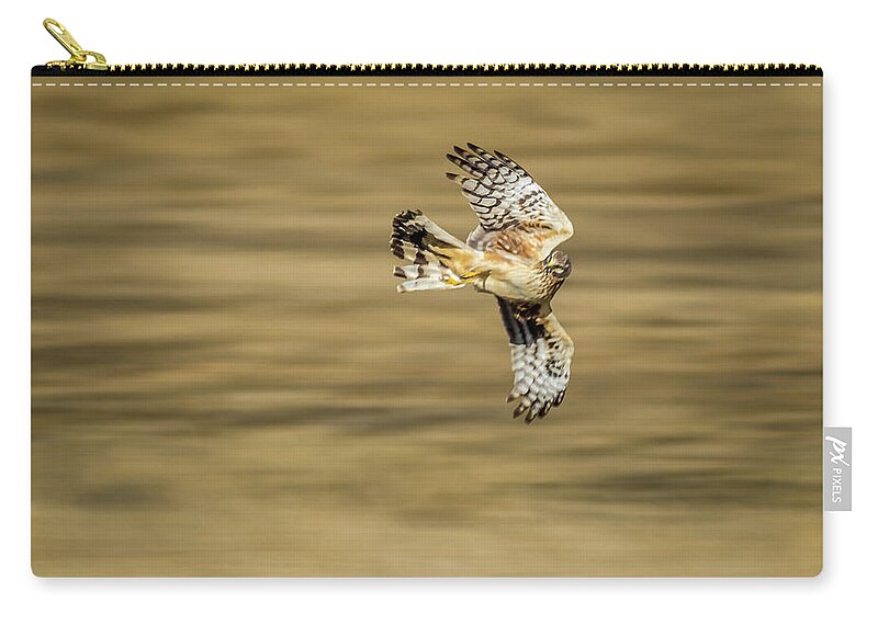 Nature Zip Pouch featuring the photograph Fly-by by Robert Mitchell