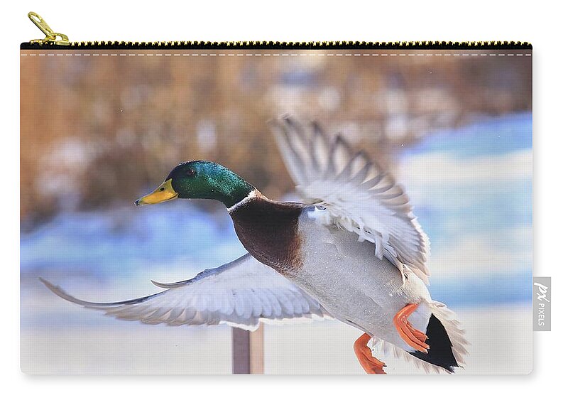 Flying By Zip Pouch featuring the photograph Flying by by Lynn Hopwood